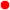 no